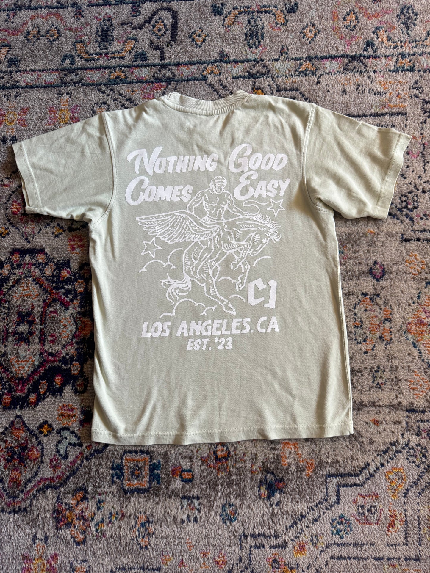 Nothing Good Comes Easy - Pistachio - Unisex